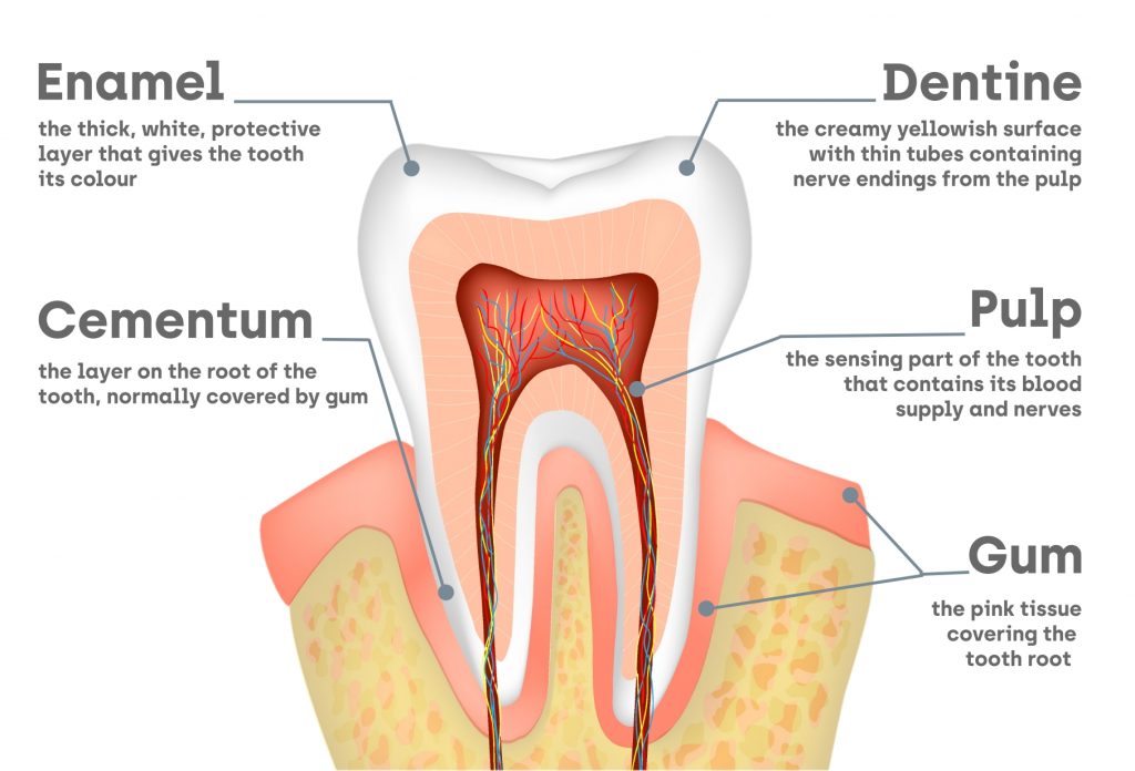 Sensitive Teeth The Various Causes And Professional Solutions